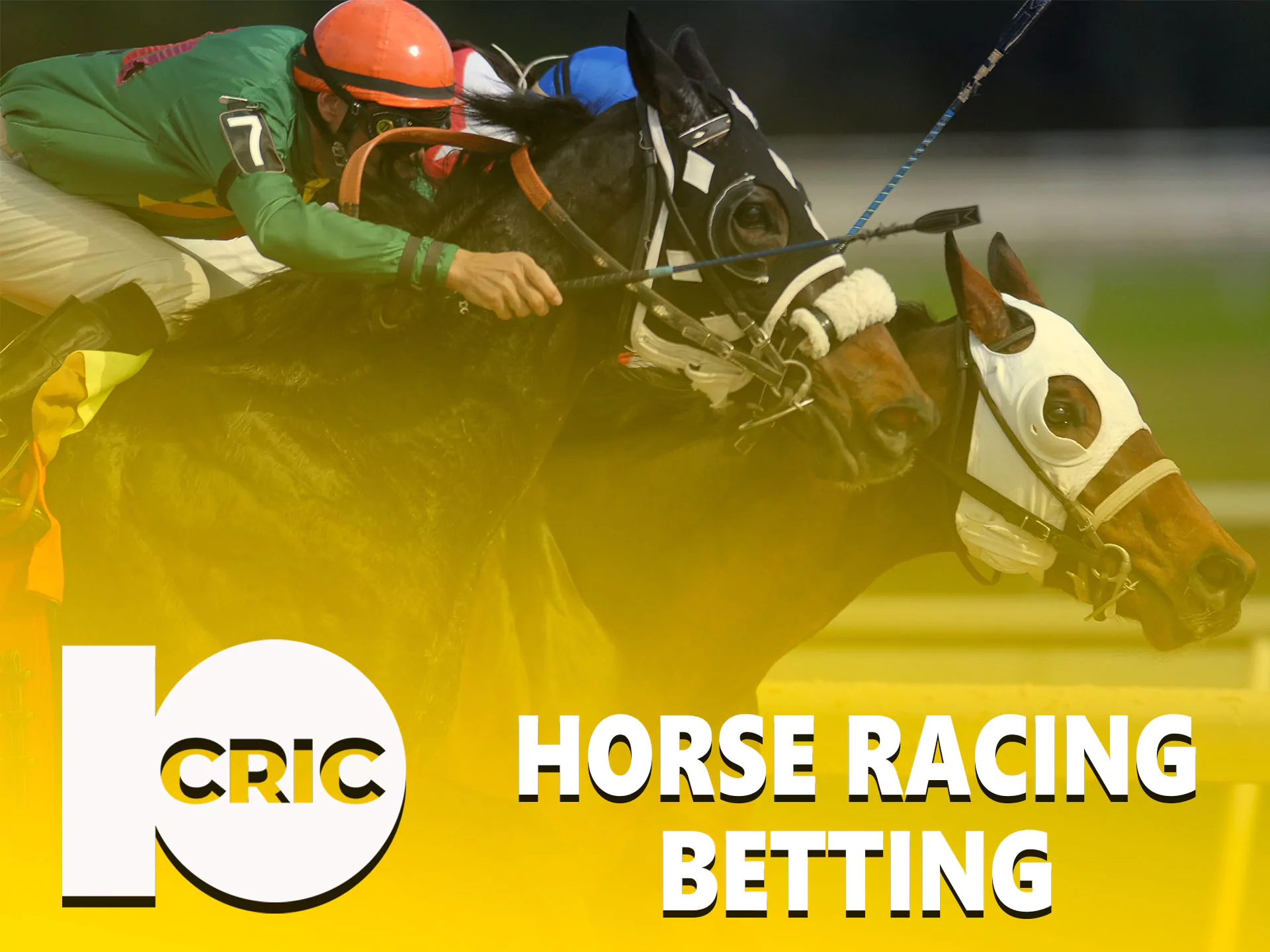At 10Cric you can find the best tournaments for this exciting sport.